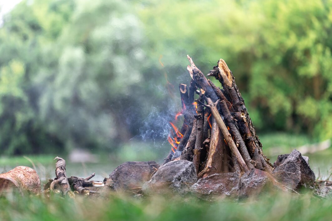 Jak ekologiczne alternatywy dla drewna kominkowego mogą przyczynić się do ochrony środowiska?