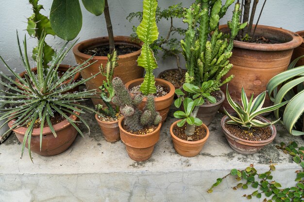 Jak wybrać idealne pojemniki na rośliny na taras, balkon czy do ogrodu?