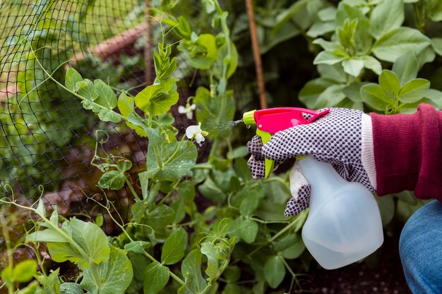 Sposoby na naturalne odstraszanie szkodników w ogrodzie